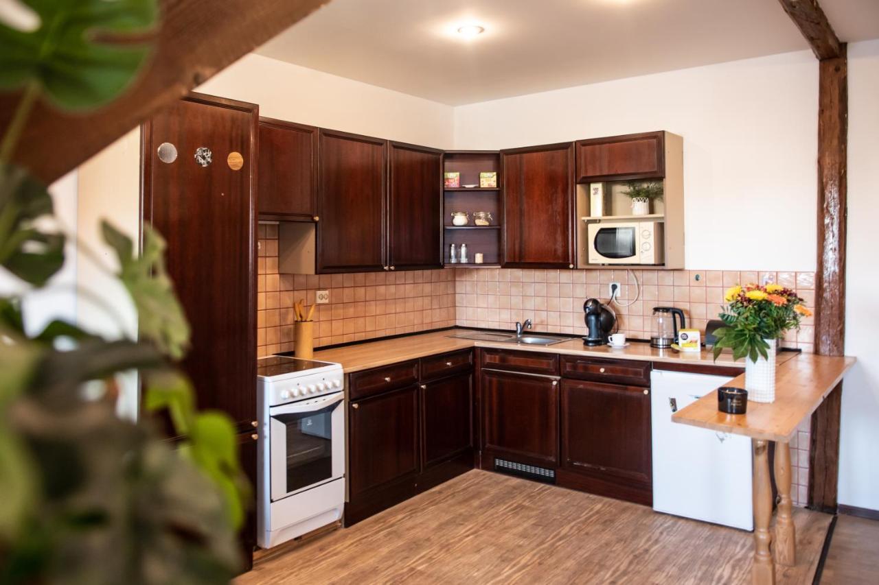 Podkrovni Apartman S Vyhledem Na Namesti Lomnice nad Luznici Exterior photo